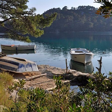 Authentic Ap For 2, Babino Polje,Mljet Leilighet Eksteriør bilde