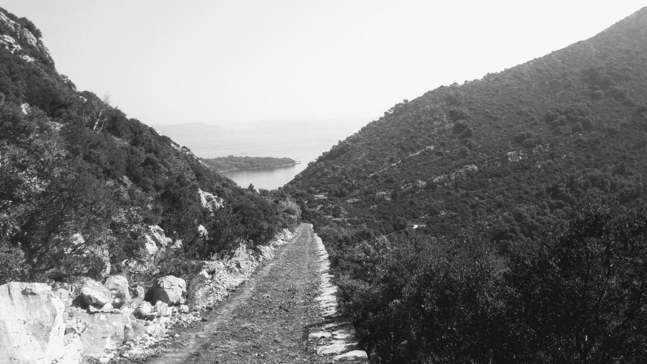 Authentic Ap For 2, Babino Polje,Mljet Leilighet Eksteriør bilde