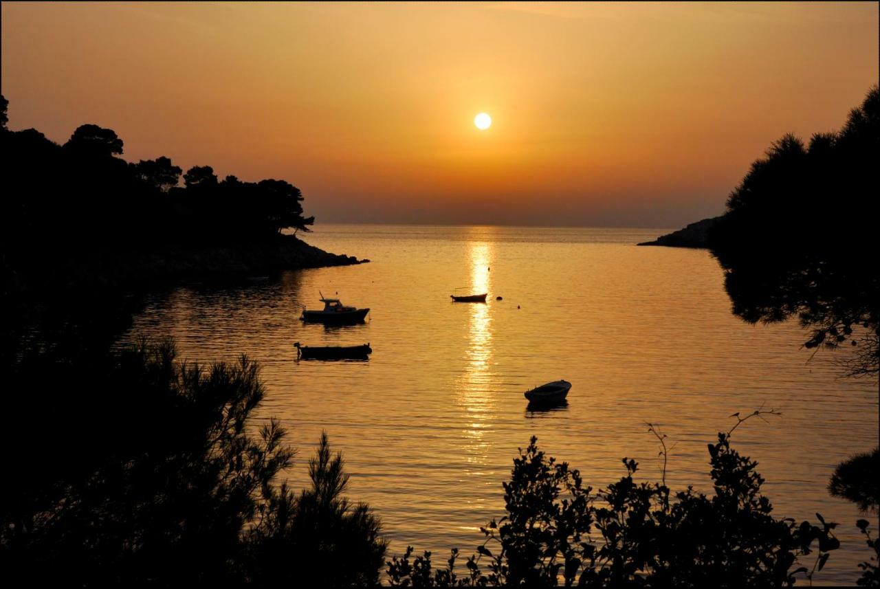 Authentic Ap For 2, Babino Polje,Mljet Leilighet Eksteriør bilde