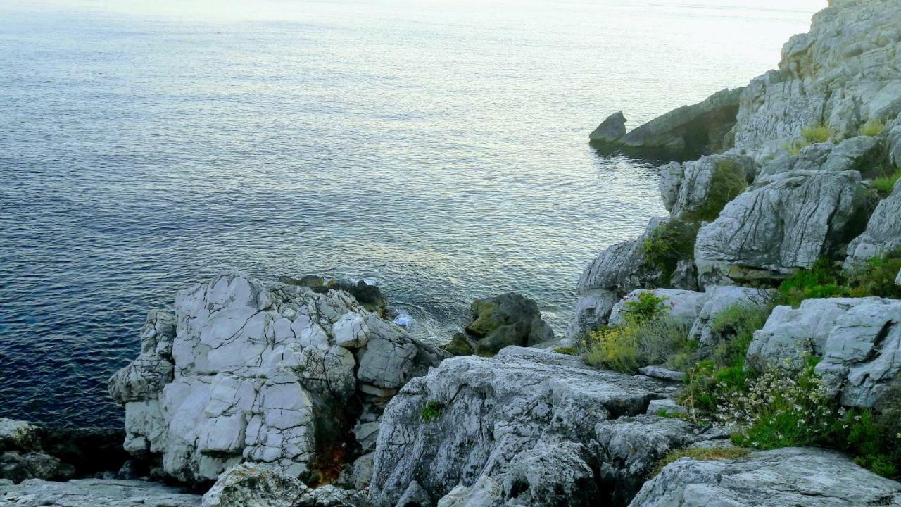 Authentic Ap For 2, Babino Polje,Mljet Leilighet Eksteriør bilde