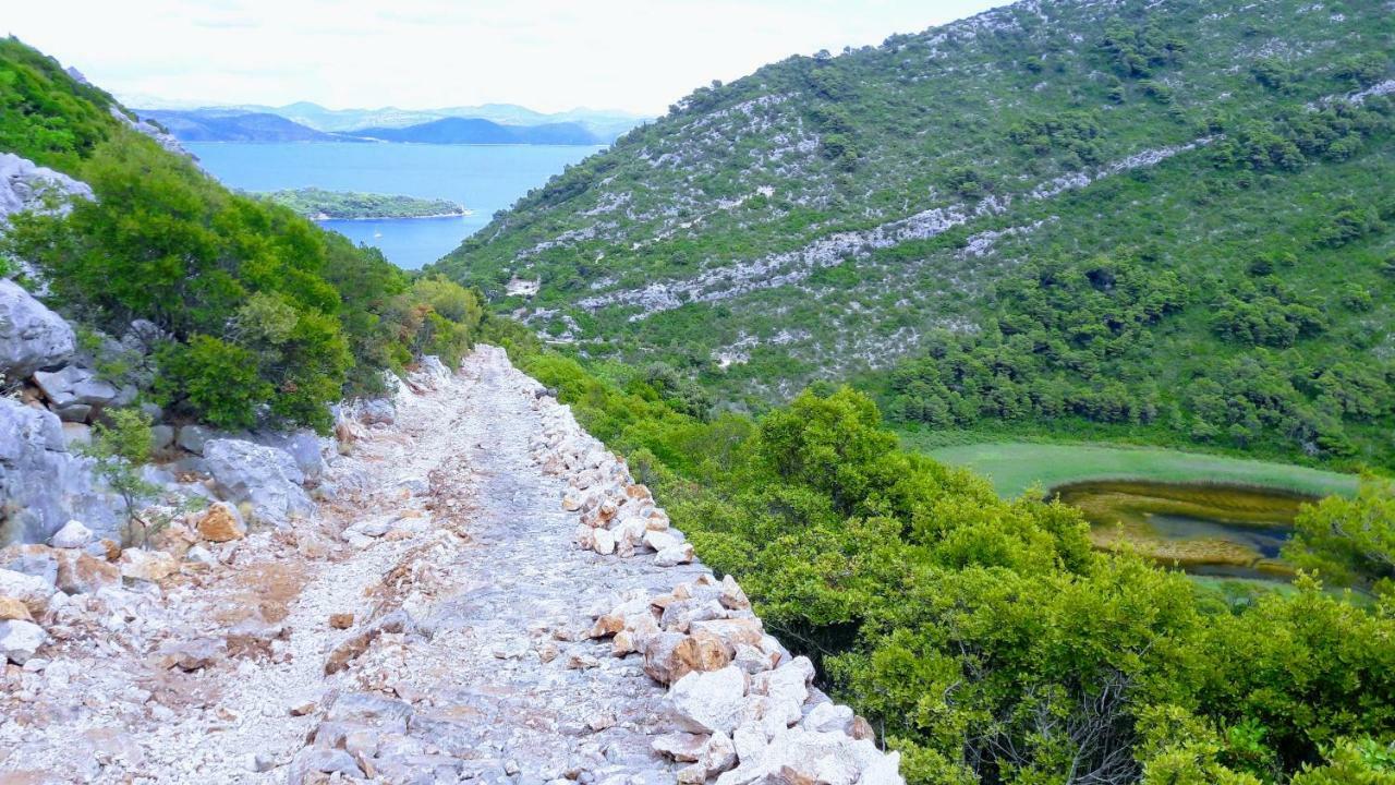 Authentic Ap For 2, Babino Polje,Mljet Leilighet Eksteriør bilde